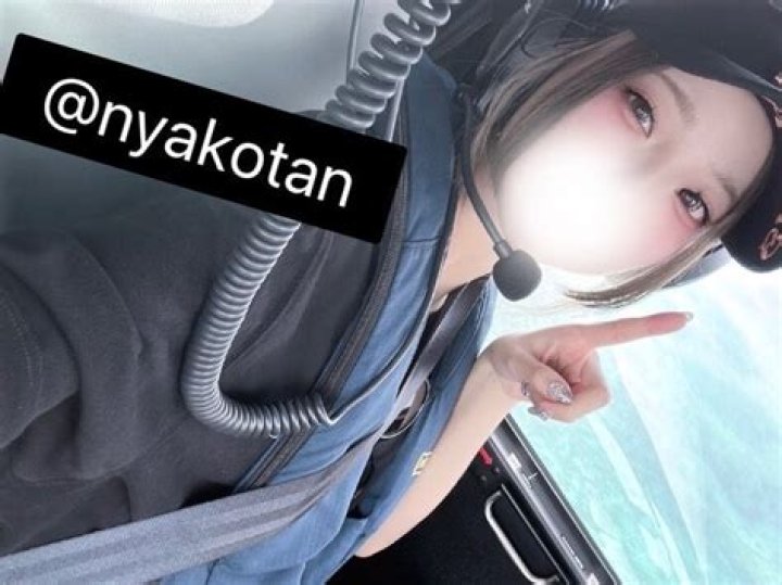 nyakotanなこを探す前に知りたいこと：名前、検索方法、注意点